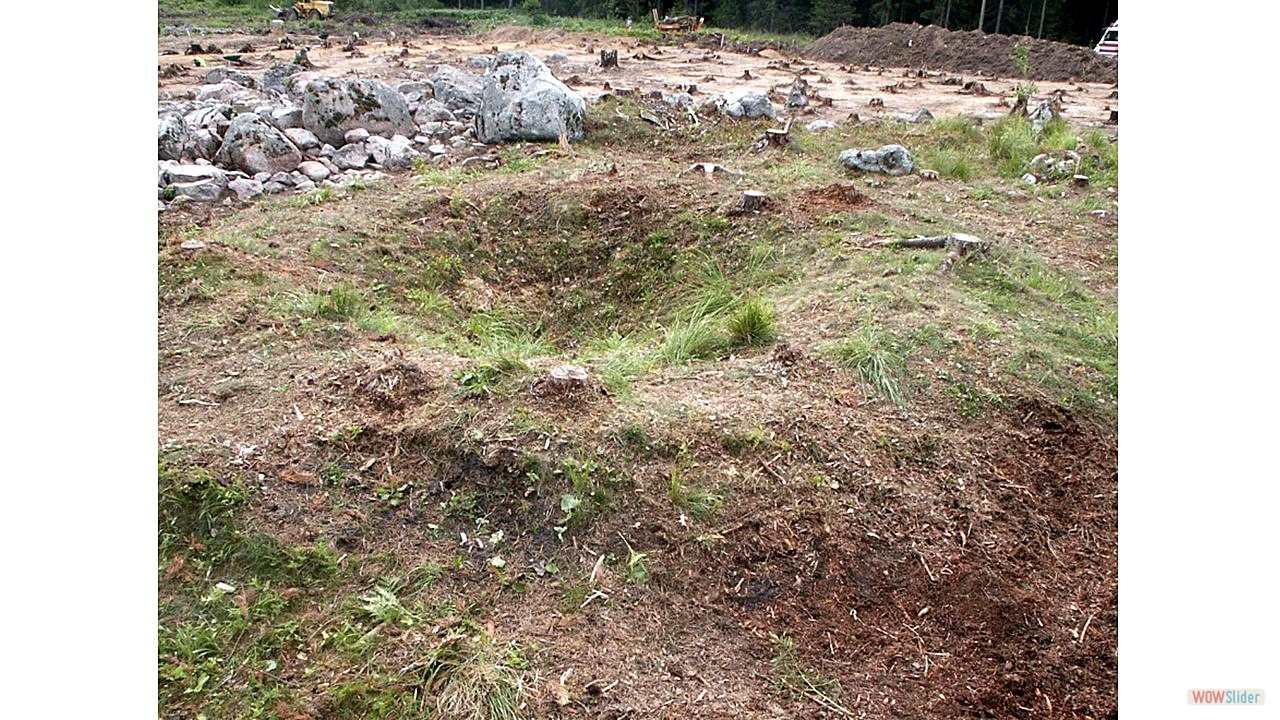 13.  Med anledning av byggandet av nya E4:an genom Uppland genomförde Upplandsmuseet under sommaren 2003 arkeologiska undersökningar av en stor mängd lämningar efter kol- och tjärframställning i norra Upplands skogsmarker.
