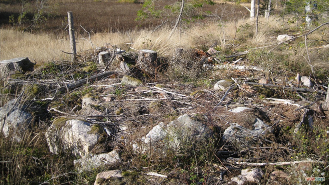 17. En avlång stensättning (grav) som är 4–6 m i diameter.