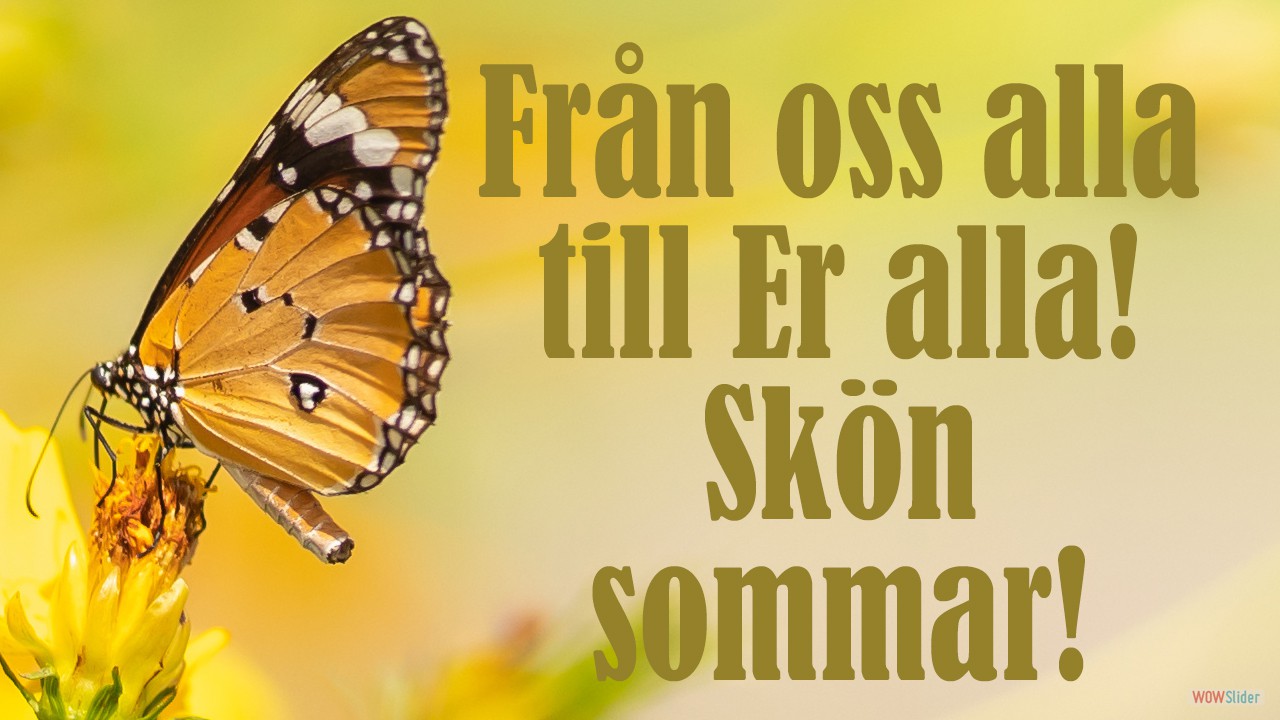 sommar