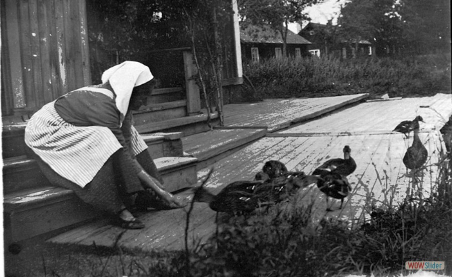 50 Tvättstugan vid Sörgatan, moster Holm med sina änder, 1930