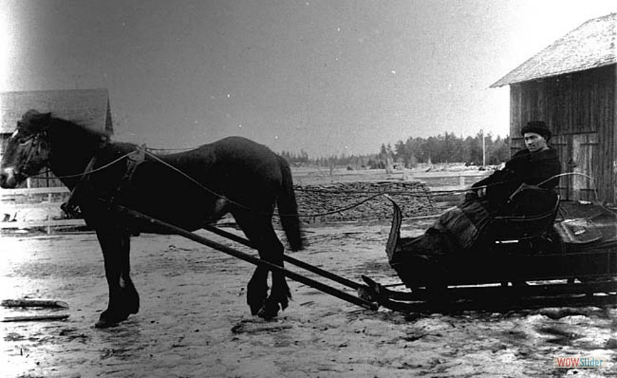 194 Häst och släde