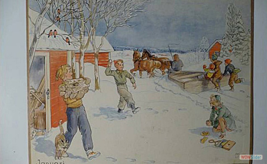 32 Plansch vinter, snöplog