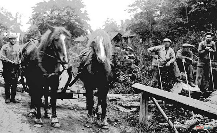 26 Vägbygge vid Tillfället i Västland Filip Hillbom, Gerhard Lundin, Albin Wallin, 1930