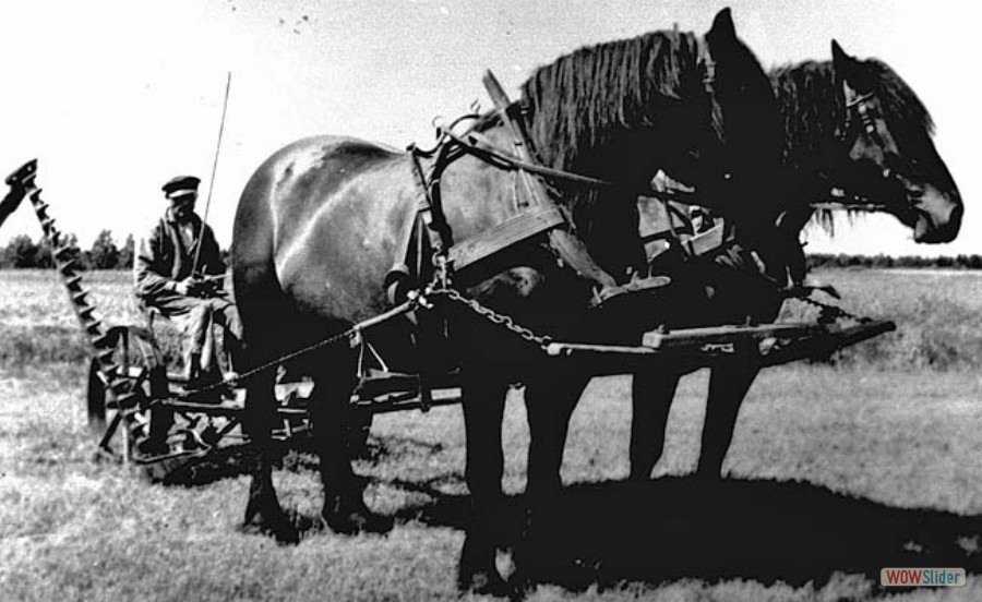 49 Axel Eriksson på slåttermaskin, 1935