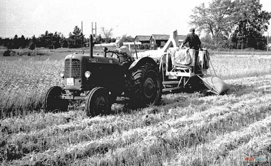 59 Skördetröskning Väla, 1955