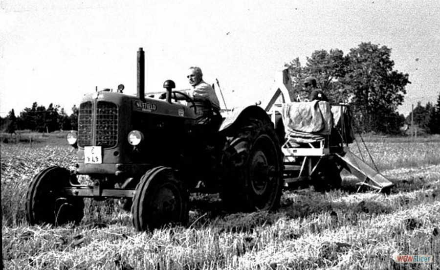 60 Skördetröskning Väla, 1955