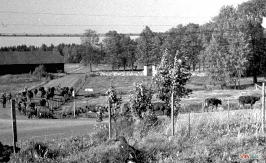 69 Västlandsparaden, 1956