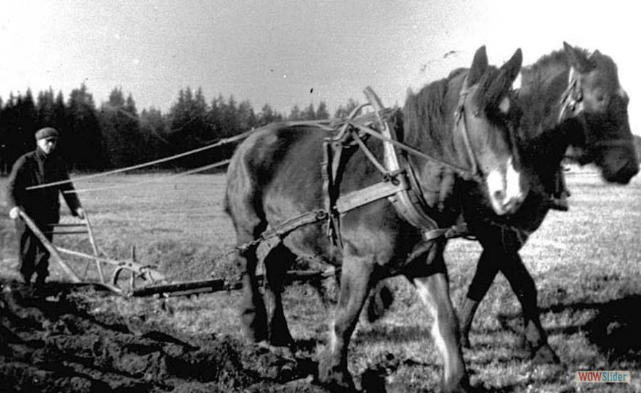 120 Gösta Hellström plöjer