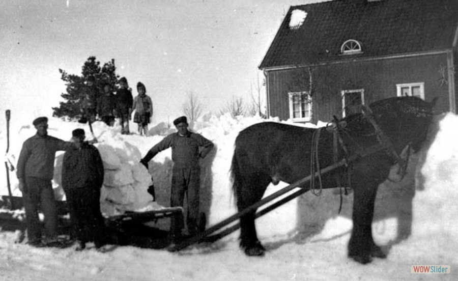 144 Joel Norling och Gunnar Nyberg, m.fl. kör snö, 1930