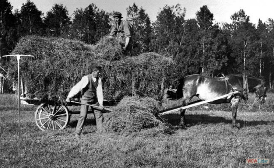 169 Karl och Gerhard Karlsson i Gällbo