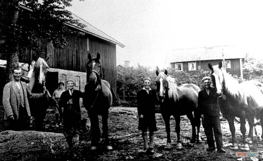 178 Näs, Lars Oskar Johansson m.fl