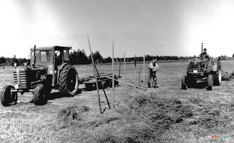 229 Slåtter, Sture Mattsson och Anders Johansson