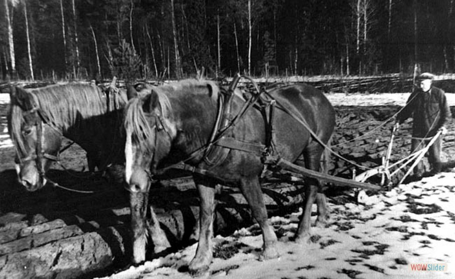 338 Höstplöjning, Westberg, 1944