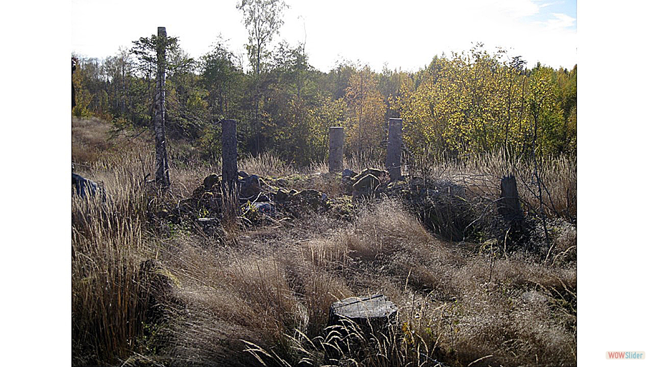 15.  Gravfält på Sörskogen, ca 50 x 20 meter, bestående av 15 fornlämningar. Dessa utgörs av runda, fyllda stensättningar. (Förstagångsinventeringen 1952 och revideringsinventeringen 2013 av Riksantikvarieämbetet).