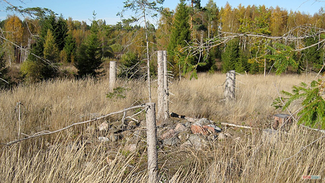 16. Rund stensättning (grav) som är 6 m i diameter.